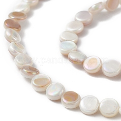 AB Color Plated Natural Freshwater Shell Beads Strands&nbsp;X-BSHE-G033-04