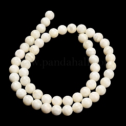Natural Freshwater Shell Beads Strands&nbsp;SHEL-C010-06