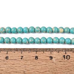 Synthetic Turquoise Beads Strands&nbsp;G-N364-08A-01