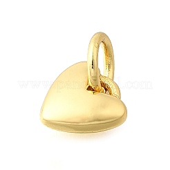 Brass Pendants&nbsp;KK-V007-008G-02