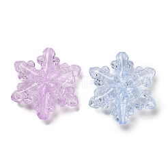 Transparent Acrylic Beads&nbsp;TACR-R001-05A