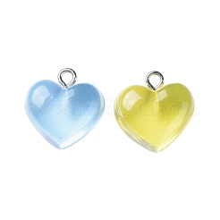 DIY 30Pairs Heart Resin Earrings Kits&nbsp;DIY-LS0001-03