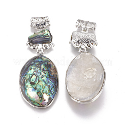Natural Abalone Shell/Paua Shell Big Pendants&nbsp;SSHEL-F303-05-01