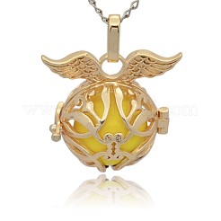 Golden Tone Brass Cage Pendants&nbsp;KK-J213-16G