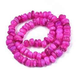 Natural Trochid Shell/Trochus Shell Beads Strands&nbsp;SHEL-S258-081-B07