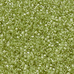 MIYUKI Delica Beads&nbsp;SEED-JP0008-DB0910