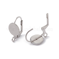 Tarnish Resistant 304 Stainless Steel Leverback Earring Findings&nbsp;STAS-G291-06P