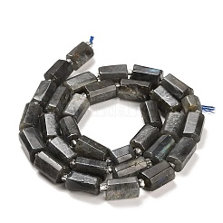 Natural Larvikite Beads Strands&nbsp;G-G068-A21-01