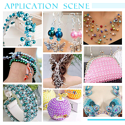 DIY Beads Kit&nbsp;DIY-PH0021-98C