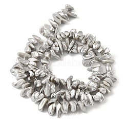Electroplated Shell Pearl Beads Strands&nbsp;BSHE-M036-01B