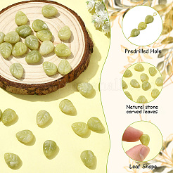 30Pcs Natural Chinese Jade Carved Beads&nbsp;G-CJ0001-85