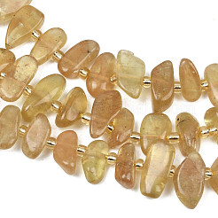 Natural Yellow Apatite Beads Strands&nbsp;G-L657-E06-01