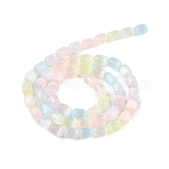 Macaron Color Natural Selenite Beads Strands&nbsp;G-F750-D01