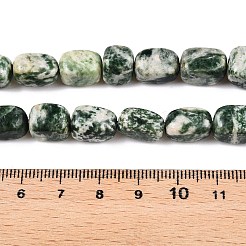 Natural Green Spot Jasper Beads Strands&nbsp;G-T138-96