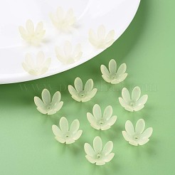 Transparent Acrylic Beads&nbsp;MACR-S373-47-D03