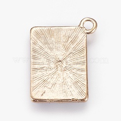 Alloy Enamel Pendants&nbsp;ENAM-O035-19G-B