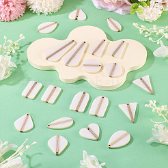 20Pcs 10 Styles Opaque Resin & Wood Pendants Sets&nbsp;RESI-TA0004-63B