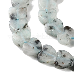 Natural Sesame Jasper Beads Strands&nbsp;G-M403-A40-02