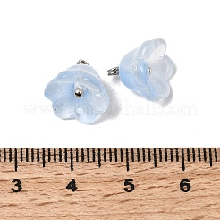 Glass Charms&nbsp;GLAA-G127-03A