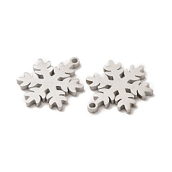 Non-Tarnish 304 Stainless Steel Pendants&nbsp;STAS-M089-59P