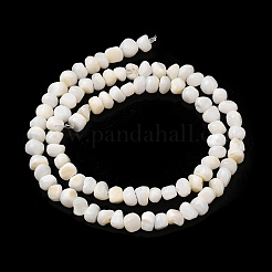 Natural Freshwater Shell Beads Strands&nbsp;SHEL-B003-05