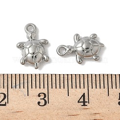 304 Stainless Steel Charms&nbsp;STAS-F320-01B-P