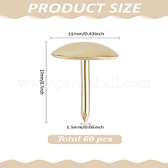 60Pcs Iron Round Head Nails&nbsp;CABI-LP0001-02G