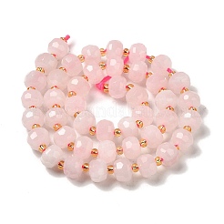 Natural Rose Quartz Beads Strands&nbsp;G-P508-A18-01