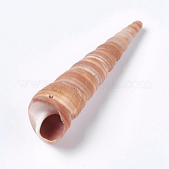 Natural Conch&nbsp;DIY-WH0097-01