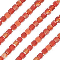 1 Strand Dyed Natural Red Banded Agate/Striped Agate Beads Strands&nbsp;G-TA0003-36