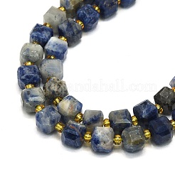Natural Sodalite Beads Strand&nbsp;G-I376-D71-01