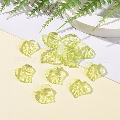 Transparent Acrylic Pendants&nbsp;DBLA410-9