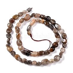 Natural Black Sunstone Beads Strands&nbsp;G-G018-03B