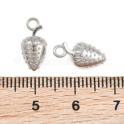 304 Stainless Steel Charms&nbsp;SA-CBAC865-04C-P