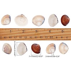 Clam Shell Beads&nbsp;SSHEL-NB0001-11
