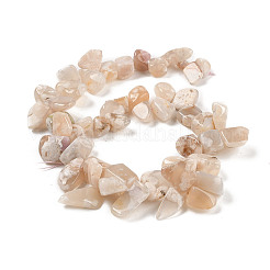 Natural Cherry Blossom Agate Beads Strands&nbsp;G-NH0010-F02-01