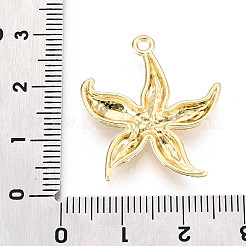Alloy Pendants&nbsp;FIND-N010-13G