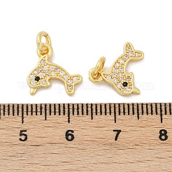 Brass Micro Pave Cubic Zirconia Pendants&nbsp;KK-U073-05G