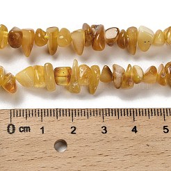 Natural Amber Beads Strands&nbsp;G-L095-N01-01
