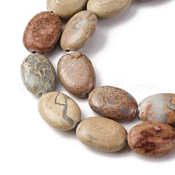 Natural Aqua Terra Jasper Beads Strands&nbsp;G-L624-E03-14x10mm