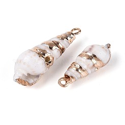 Electroplated Natural Shell Pendants&nbsp;BSHE-T015-10