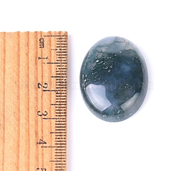 Natural Indian Agate Cabochons&nbsp;PW-WG8E62B-04