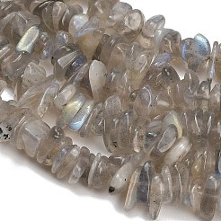 Natural Labradorite Beads Strands&nbsp;GG-CBAC61B-C06-01