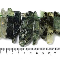 Natural Prehnite Beads Strands&nbsp;G-L551B-12
