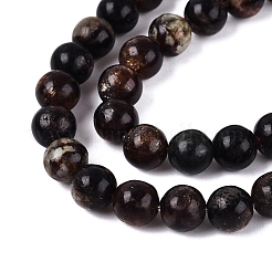 Natural Biotite Beads Strands&nbsp;G-Q616-01B