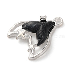 Rack Plating Alloy Resin Pendants&nbsp;FIND-Q116-02S-04