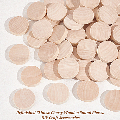 Unfinished Schima Wooden Round Pieces&nbsp;WOOD-WH0027-73
