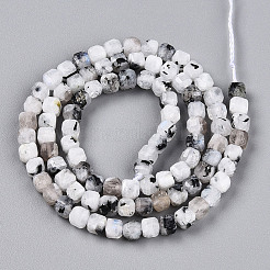 Natural Rainbow Moonstone Beads Strands&nbsp;G-T141-66