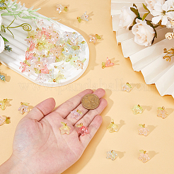 Acryli & Shell Pearl Pendants&nbsp;PALLOY-FH00052