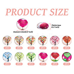 24Pcs 12 Style Glass Cabochon&nbsp;GLAA-TA0001-71